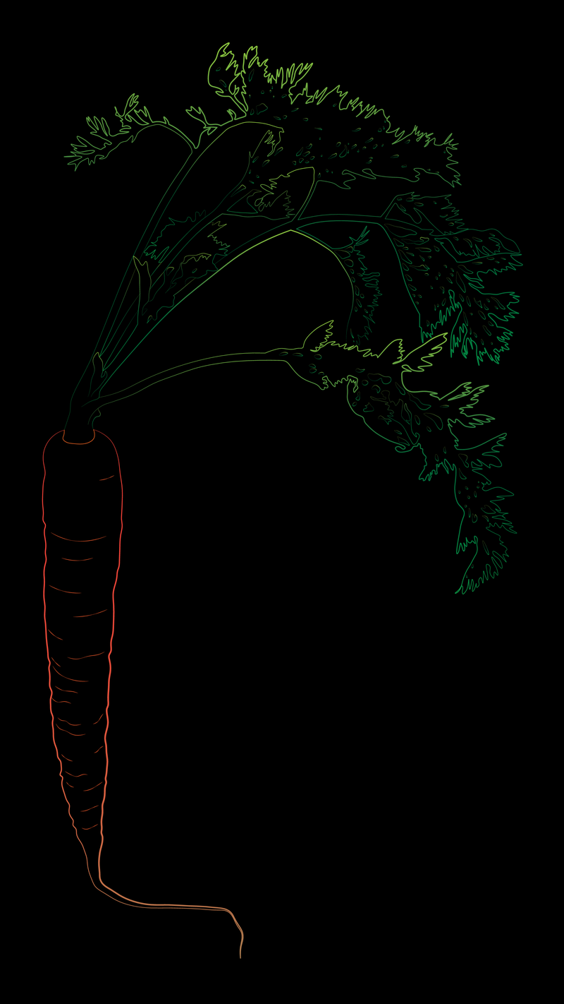 Illustration for article titled I Made Things for Fellow Oppos: Round V